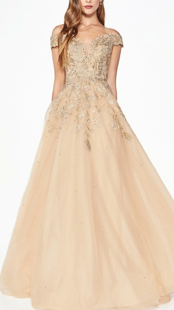 NWOT Off shoulder formal dress,bridesmaid dress 👗